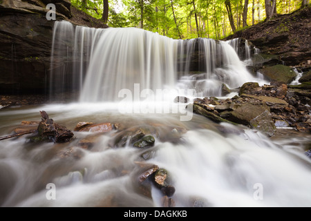 Tews inférieur Cascade, Hamilton, Ontario, Canada. Banque D'Images