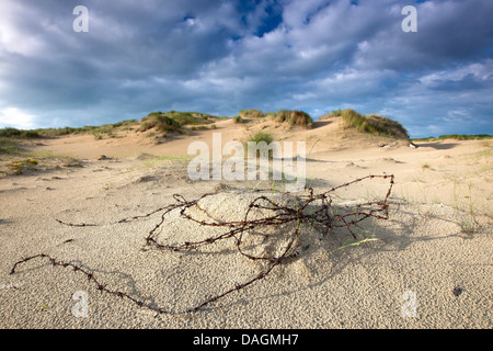 Barbelés rouillés sur dune de sable de la réserve naturelle de Westhoek, Belgique Banque D'Images