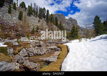 Mountain Creek et champ de neige dans des paysages de montagne de Val di Fanes, l'Italie, le Parc National de Fanes Banque D'Images