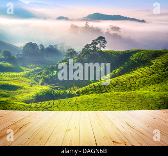 Plancher bois sur les plantations de thé de Cameron Highlands Malaisie. Lever du soleil tôt le matin, avec le brouillard. Banque D'Images