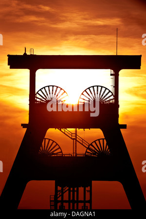 Coal Mine Ewald avec double-pont sur chevalet chevalement sur l'arbre 7 au coucher du soleil, de l'Allemagne, en Rhénanie du Nord-Westphalie, Ruhr, Herten Banque D'Images