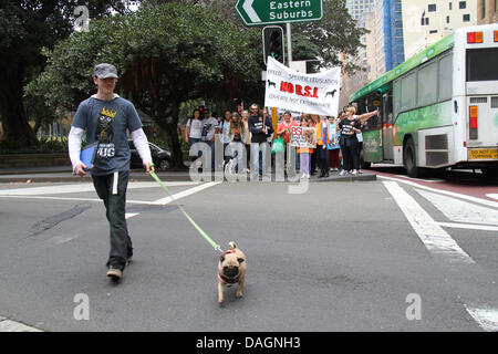 Sydney, NSW, Australie. 13 juillet 2013. Une marche et un rassemblement organisé par le groupe des manifestants BSL Australienne protestèrent contre la race de chien-tue spécifiques. Rassemblements ont été organisés à l'échelle mondiale le 13 juillet 2013. Les manifestants réunis à l'angle sud-ouest de Hyde Park, à la jonction d'Elizabeth Street et de Liverpool Street à environ 11h. Peu après 11h30 qu'ils sont partis et ont marché vers le nord le long de la rue Elizabeth Martin Lieu où divers intervenants ont abordé la foule. Credit : Crédit : Richard milnes / Alamy Live News. Banque D'Images