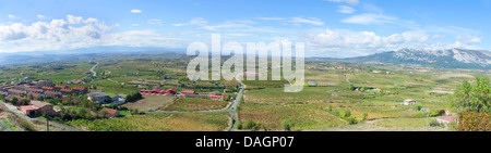 Vue panoramique des vignobles de La Rioja Banque D'Images