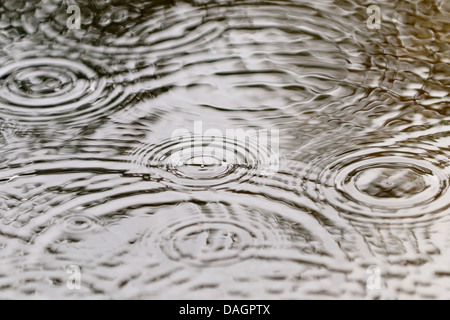 Les gouttes de pluie tombant dans une flaque, Allemagne Banque D'Images