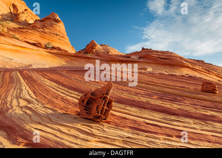 Rock formations dans le Nord Coyote Buttes, partie de la Vermilion Cliffs National Monument. Aussi connu sous le talon Banque D'Images