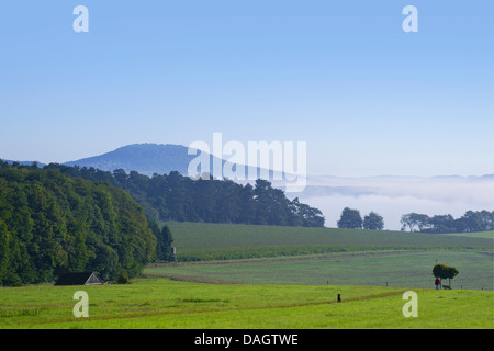 Vue d'Aremberg le matin , Allemagne, Rhénanie-Palatinat, Hohe Eifel Banque D'Images