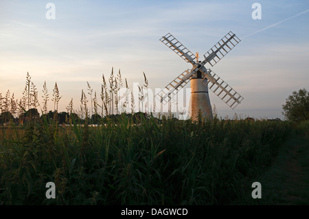 Un matin tôt afin de Thurne moulin sur les Norfolk Broads, Angleterre, Royaume-Uni. Banque D'Images