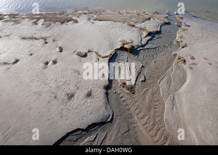 Les vasières à marée basse, Belgique, Nieuwpoort Banque D'Images