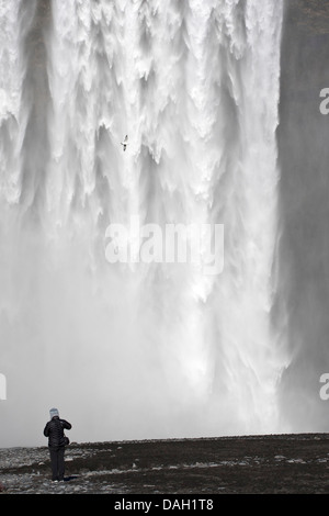 La photographie de la nature en face de cascade Skogafoss, Islande Banque D'Images