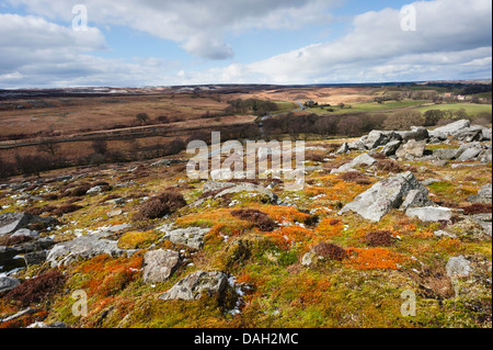 Le North York Moors National Park et le paysage vallonné avec les roches du Jurassique près de Goathland, Yorkshire, UK. Banque D'Images