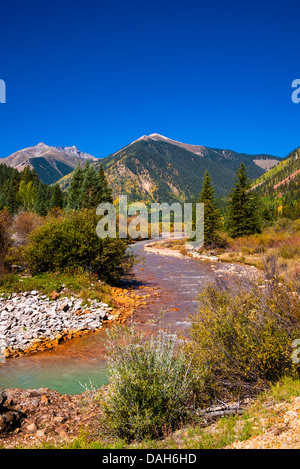 La couleur de l'automne le long du ruisseau de minéraux sous Red Mountain Pass, San Juan National Forest, Colorado USA Banque D'Images