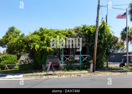 Antique pittoresque et une boutique de cadeaux dans le quartier historique de Cedar Key, en Floride est complètement envahie par des vignes, des arbustes et des arbres. Banque D'Images