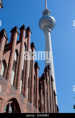 Fernsehturm, la tour de télévision et d'une partie de l'église Marienkirche en premier plan Mitte Berlin Allemagne Banque D'Images