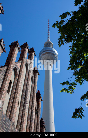 Fernsehturm, la tour de télévision et d'une partie du en premier plan Marienkirche Allemagne Berlin Mitte Banque D'Images