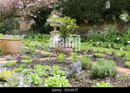 Grand jardin informel - faible profondeur de champ Banque D'Images