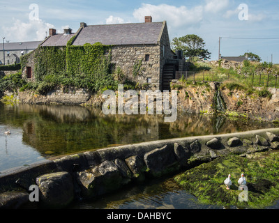 C'est l'ancien moulin à Annalong près de Newcastle fr vers le bas Banque D'Images