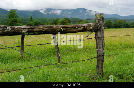 La Cades Cove Great Smoky Mountains National Park Utah USA beauté tranquille Banque D'Images