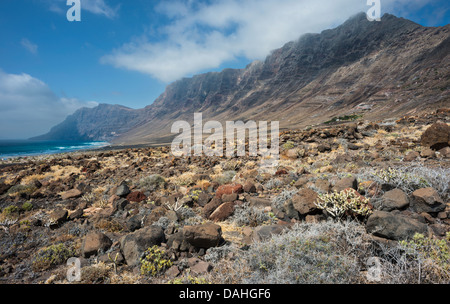 Malpais (terrain accidenté ou avec badlands gommage à sec) en face de la falaise de Famara et plage de Caleta de Famara, Lanzarote Banque D'Images