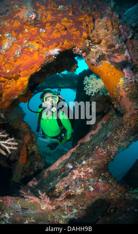 Femme de plongée sous marine à la découverte d'épaves, de l'intérieur, Tulamben Bali, Indonésie Banque D'Images