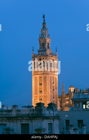 La Giralda, Séville, Andalousie, Espagne, Europe Banque D'Images