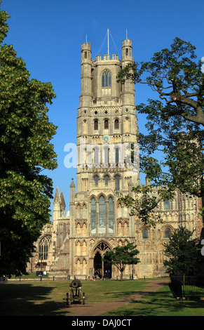 Cathédrale d'Ely, Tour Ouest, Cambridgeshire England UK English cathédrales, Palace Green Banque D'Images