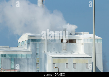 Près de l'usine chimique du dioxyde de titane Teesmouth Réserve Naturelle. Œuvres Greatham Tees rd. Hartlepool. UK Banque D'Images