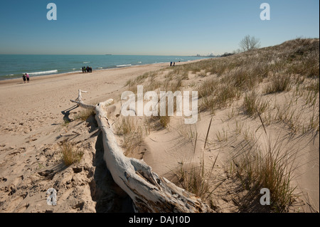 Indiana Dunes National Lakeshore, Indiana, États-Unis d'Amérique Banque D'Images