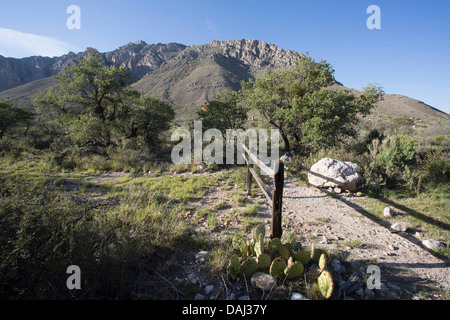 Guadalupe Mountains National Park, TX Banque D'Images