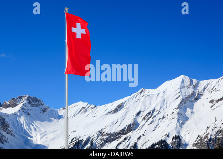 Drapeau national suisse dans le vent en face des Alpes Bernoises, Suisse, Alpes Bernoises Banque D'Images