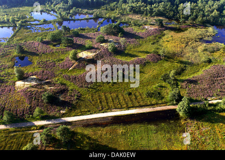 Vue aérienne de Heath, Belgique, Limbourg Banque D'Images