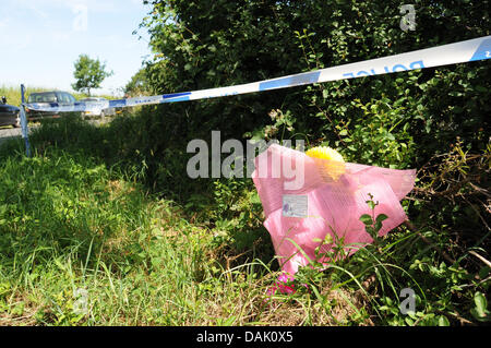 Fenny Drayton, Leicestershire, UK. 15 juillet 2013. Un avion s'est écrasé dans les champs à l'extérieur de Fenny Drayton dans le Leicestershire, Angleterre. Deux occupants de l'avion ont été déclaré mort. Les fleurs ont été laissés près de la scène. Le secteur est toujours bouclée par la police. Crédit : Jamie Gray/Alamy Live News Banque D'Images