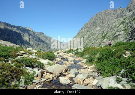 Paysage dans les gorges de la Restonica Valley près de Corte en Corse Banque D'Images