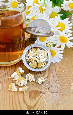 Tamis en métal avec de la camomille, un bouquet de fleurs fraîches de camomille, plateau en verre mug sur fond de planches en bois Banque D'Images