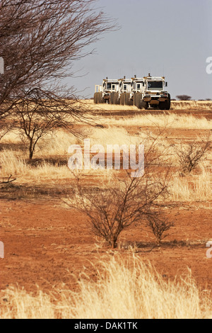 L'exploration du pétrole au Mali. Vibrateur sismique des véhicules se déplaçant à travers désert et frottez le relief levé géophysique de concession. Banque D'Images