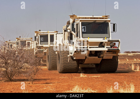 L'exploration du pétrole au Mali. Vibrateur sismique des véhicules se déplaçant à travers désert et frottez le relief levé géophysique de concession. Banque D'Images