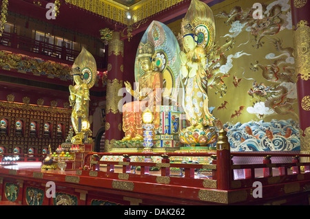 Dh Tooth Relic Temple Singapore Singapour temple bouddhiste et de l'intérieur du musée bouddha temples Banque D'Images