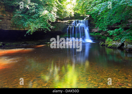 Chutes de chaudron à West Burton dans le North Yorkshire, parc national des Yorkshire Dales, Angleterre, Royaume-Uni. Banque D'Images