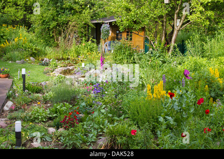 Jardin fleuri, l'Allemagne, Mecklembourg-Poméranie-Occidentale Banque D'Images