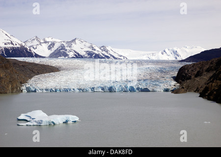 Glacier Gris et Gris Lake, le Chili, la Patagonie, le Parc National Torres del Paine Banque D'Images