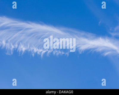 Les formations de nuages blanc bleu ciel d'été, contre les Cirrus fibratus probablement ou cirrus uncinus formé après les un avion de pasing Banque D'Images