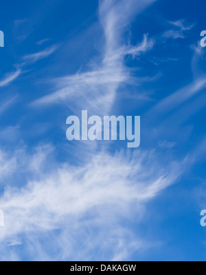 Les formations de nuages blanc bleu ciel d'été, contre les Cirrus fibratus probablement ou cirrus uncinus formé après les un avion de pasing Banque D'Images