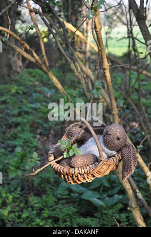 Lapin en peluche dans un panier suspendu à un arbre dans les bois Banque D'Images