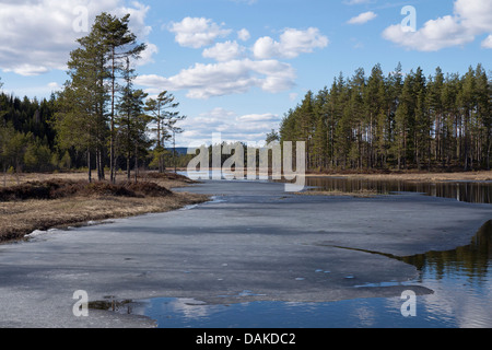 Déblocage lake en avril, de la Suède, Suède, Filipstadt Banque D'Images