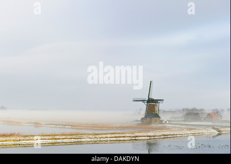 Moulin à vent dans le brouillard du matin, Texel, Pays-Bas Banque D'Images