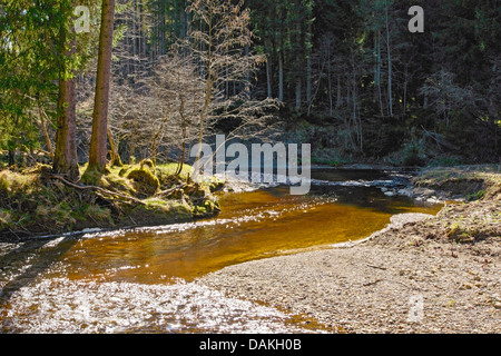 Près de la rivière Ach Staffelsee à l'avant-pays alpin de Murnau, Allemagne, Bavière, Oberbayern, Haute-Bavière Banque D'Images