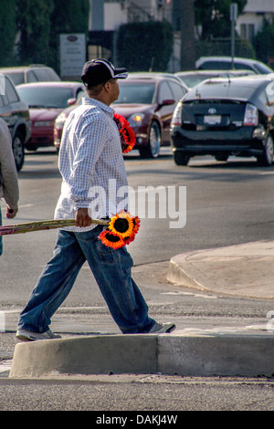 A middle aged man orange vend des tournesols pour automobilistes sur Venice Boulevard à Los Angeles, CA. Banque D'Images