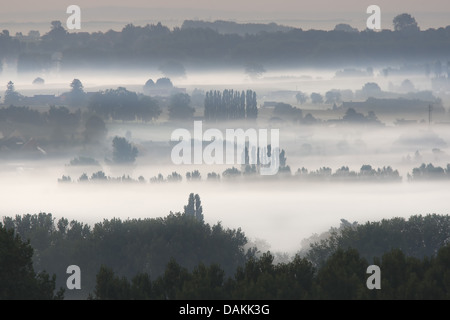 Paysage de bocage dans le brouillard du matin, Belgique, Ardennes Banque D'Images