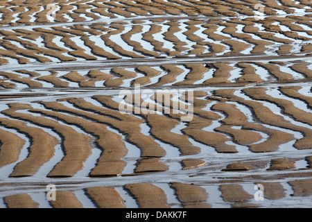 Les vasières à marée basse, Pays-Bas Banque D'Images