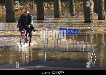 Les cyclistes sur route inondée, Belgique, Durme Banque D'Images