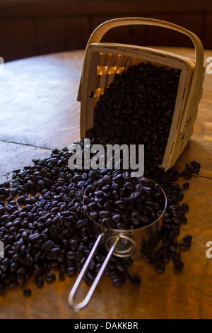Les grains de café se répandre à partir d'un panier de bois sur une ancienne table en chêne Banque D'Images